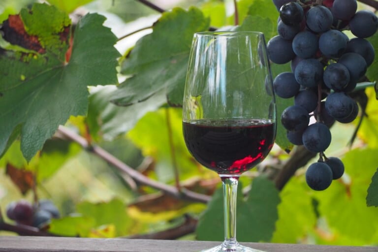 赤ワインに使われているブドウは？代表的な品種を紹介
