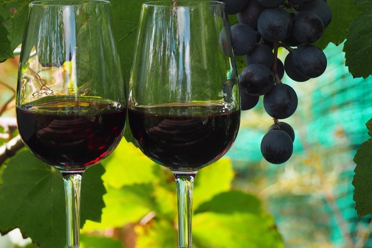 赤ワインとブドウ